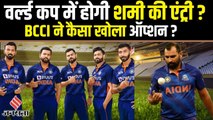 टी-20 वर्ल्ड कप में टीम इंडिया की 15 सदस्यीय टीम में शामिल हो सकते हैं मो. शमी ?