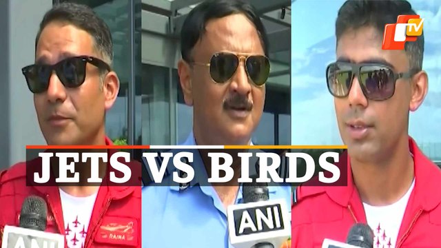 IAF Air Show At Puri - How Big A Threat Are Birds