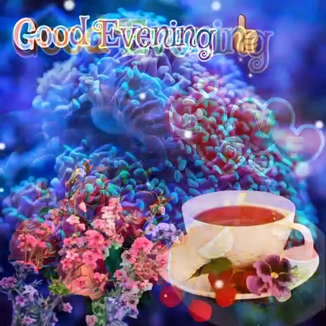 Beautiful Good Evening good evening status good evening good ...