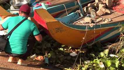 World Cleanup Day: Weltweit sammeln Freiwillige Müll ein