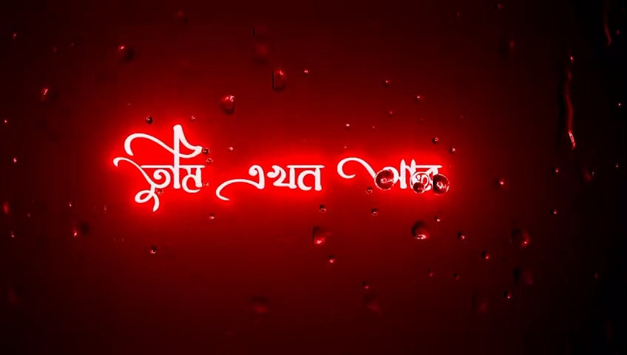 তুমি এখন আর আমার নেইNew sad status black screen lyrics video__ariyan Shuvo__status king__