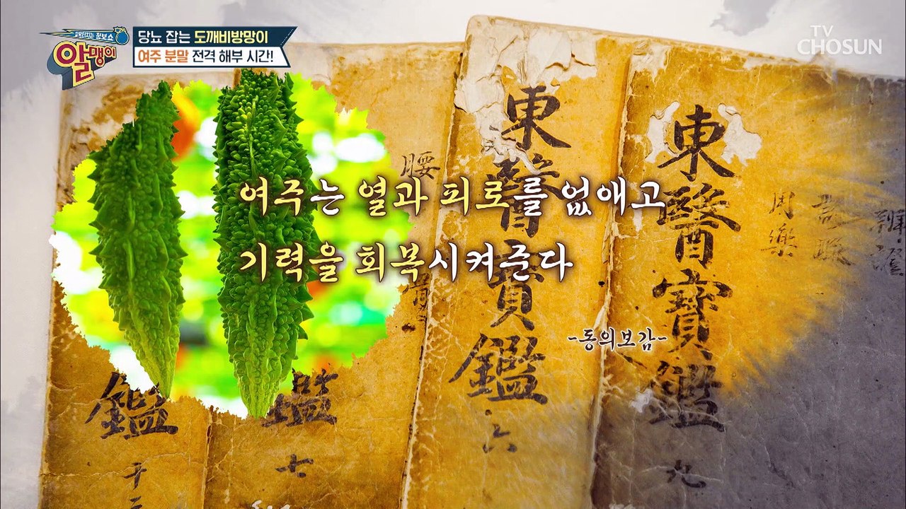 신이 주신 선물은 바로 ‘여주’ 당뇨 잡는 도깨비 방망이 TV CHOSUN 20220...