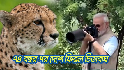 ৭৪ বছর পর দেশে ফিরল চিতাবাঘ |OneIndia Bengali