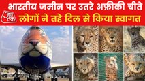 Exclusive pics from arrival to release of Mission Cheetah