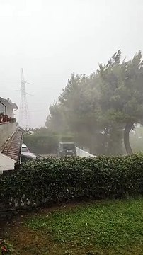 Maltempo Marche, vento e acqua sferzano gli alberi a Candia di Ancona