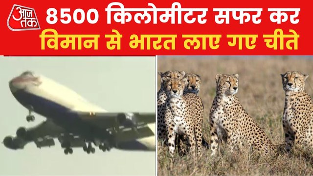 Video: How PM released Cheetahs to Kuno national park