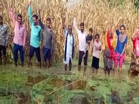 Drain blocked: नाला अवरुद्ध होने से खेतों व मकानों में भरा पानी-video