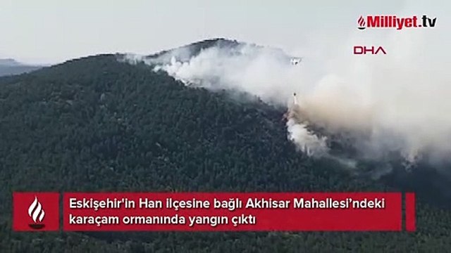 Eskişehir'de orman yangını