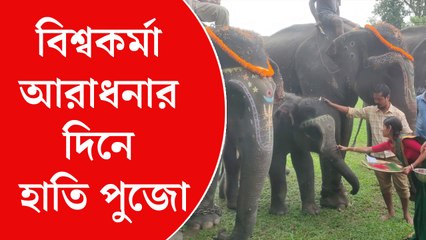 বিশ্বকর্মা আরাধনার দিনে হাতি পুজো গরুমারা জাতীয় উদ্যানে