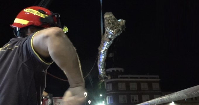 Maltempo Marche, rimozione alberi dall'alveo del fiume Misa (17.09.22)