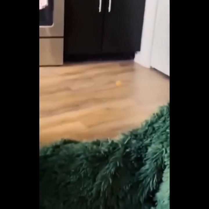 HOLDING YOUR LAUGH while Watching these video