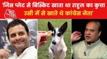 'Cong leaders used to eat from same plate as Rahul's dog'