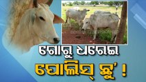 Locals accuse police of not taking proper action against bovine smugglers in Khordha