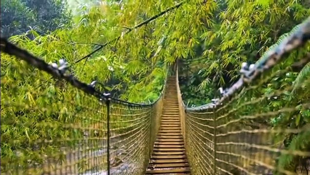 Relaxingmusic Relaxing Sleep Music Inso- Mediation Music, Deep Sleep Instantly, Relaxing Piano Music