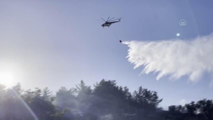 Son dakika haber | Makilik alanda çıkan yangın söndürüldü