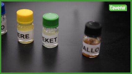 Les fêtes de Wallonie en quatre parfums