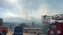 Eskişehir haberi: Eskişehir'de çıkan orman yangınına müdahale devam ediyor