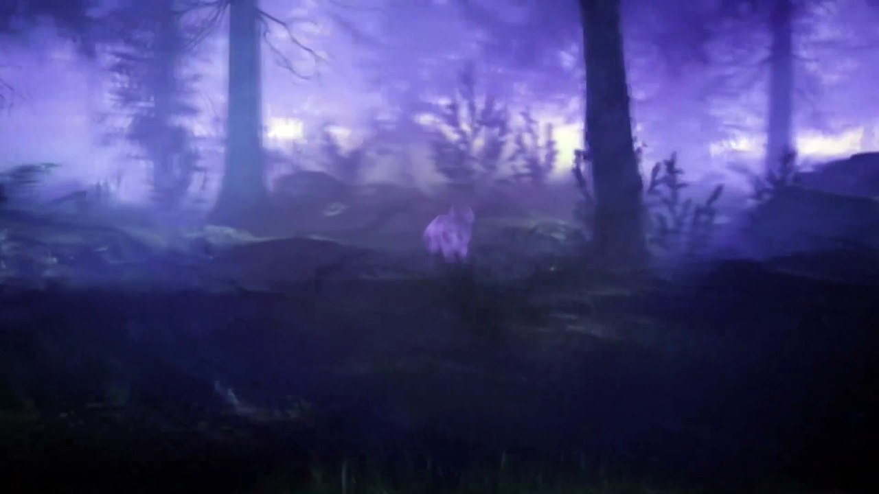 Animal Games