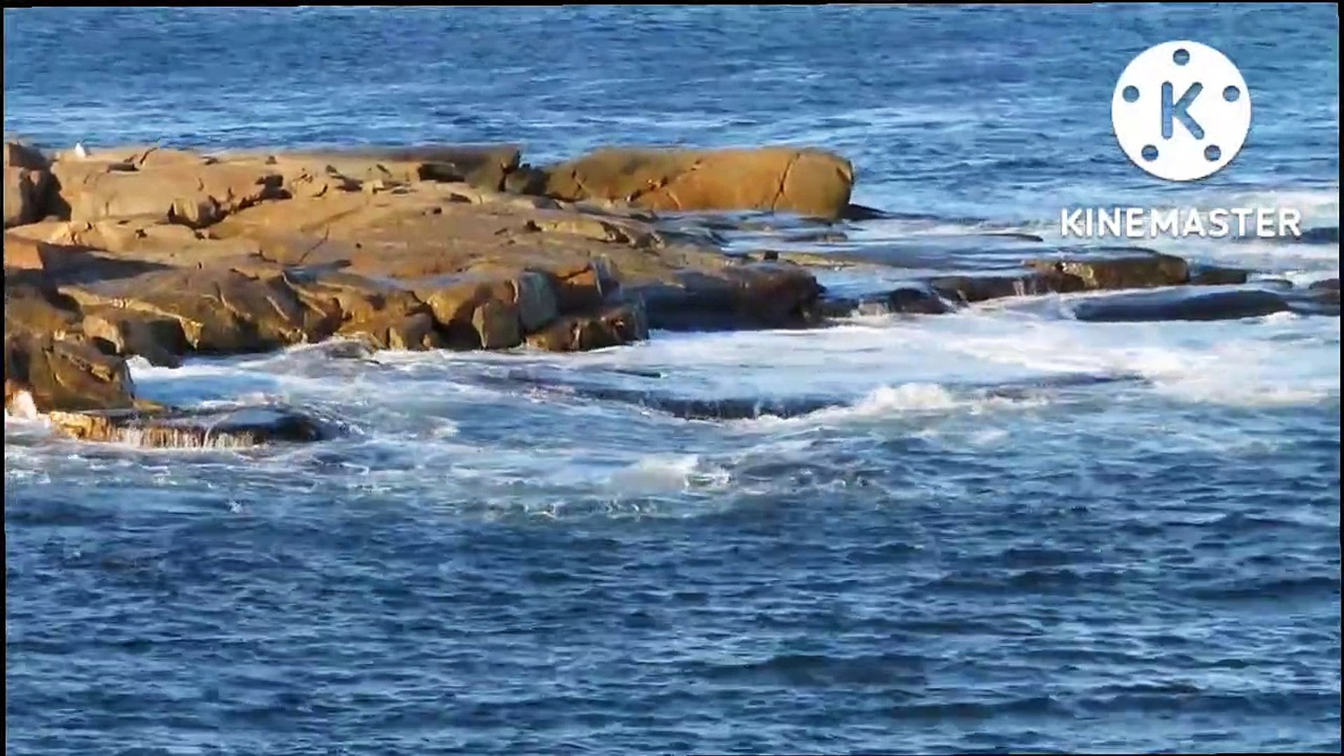 ⁣Nature videos | Nature video 4k | Nature sound |Nature drawing
