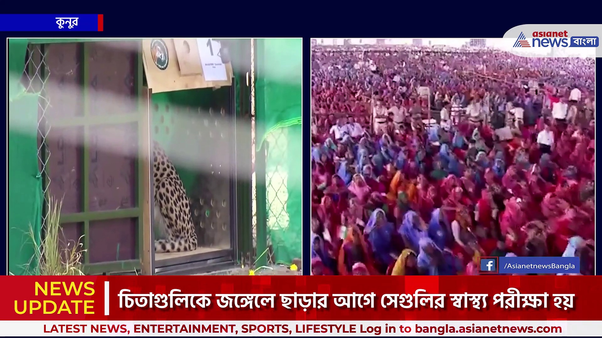 কেমন করে নাম্বিয়া থেকে ভারতে এল আটটি চিতা, দেখুন চিতার বিমান সফরে বিশেষ ভিডিওটি