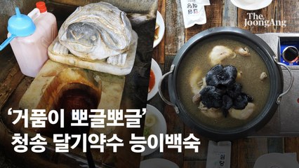 물속에서 닭 우는 소리가…이 약수 마시려고 전국서 온다