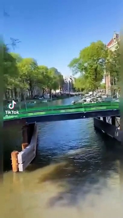 TikToks that Are Homosexual #shorts #tiktok #subscribe #reels #respect