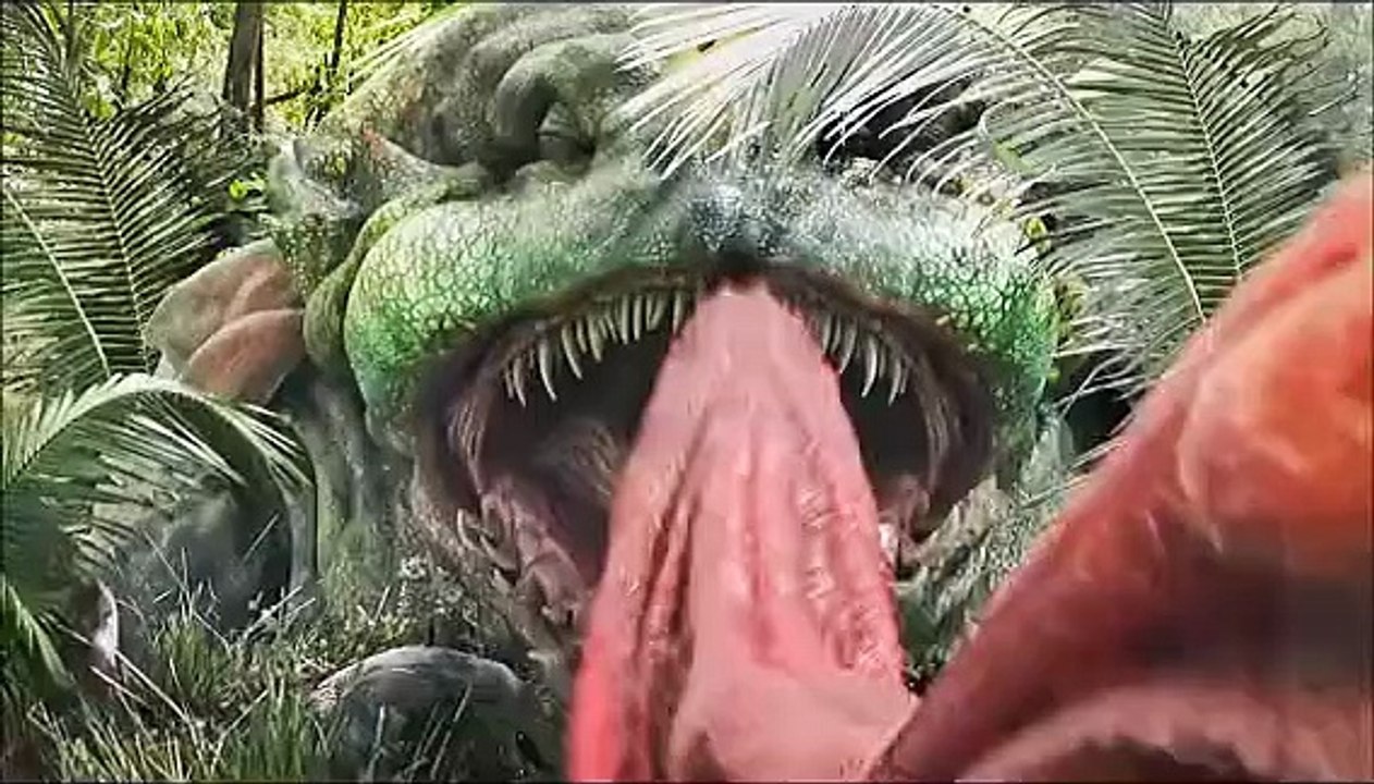 Funny video 08