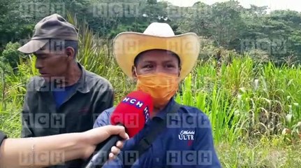 ¡Masacre! Tres personas fueron asesinadas con arma blanca en Las Mataras, La Campa, Lempira