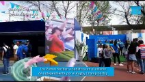 La previa de Los Pumas ante Sudáfrica en Avellaneda