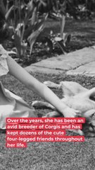 This Is What Will Happen To The Queen's Corgis