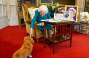 Queen Elizabeth's 'dorgi' Candy passed away months before her death