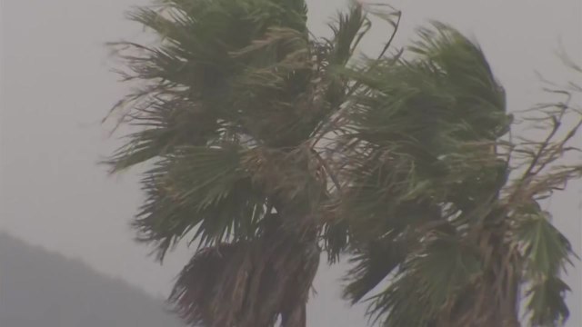 [날씨] 14호 태풍 '난마돌' 북상...남해 먼바다 태풍경보 / YTN