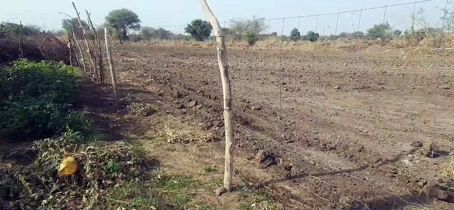 तारबंदी के अधूरे आवेदनों ने बढ़ाई मशक्कत, अब तक आए 6 सौ आवेदन