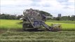 Farmers Harvesting rice in Nonthaburi Province Thailand