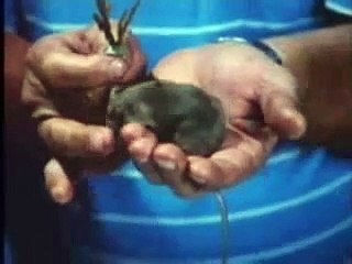 Fantômes en Fête Bande-annonce (DE)