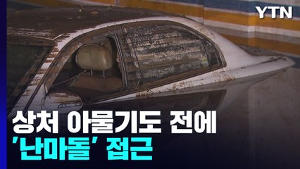 상처 아물기도 전에 '난마돌' 접근...피해 예방 어떻게? / YTN