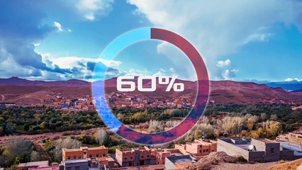 How do these nets harvest water in the arid Sahara-