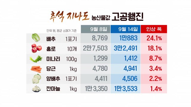 김치·라면 '줄줄이 인상'...정부 물가 10월 정점 / YTN