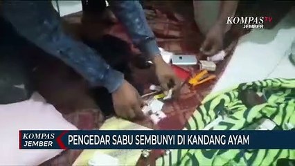 Pengedar Sabu Sembunyi Di Kandang Ayam Saat Ditangkap Polisi