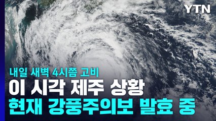 14호 태풍 '난마돌' 북상 중...이 시각 제주 상황 / YTN