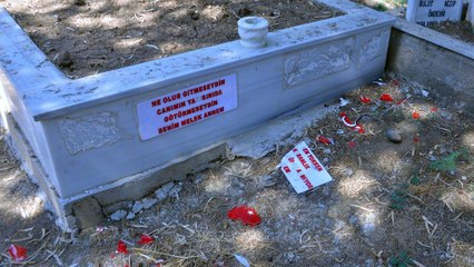 Aile mezarlığındaki Türk bayrağı motiflerini parçaladılar