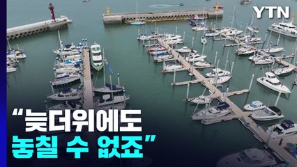 "늦더위에도 놓칠 수 없죠"...도심 채운 '가을 축제' / YTN