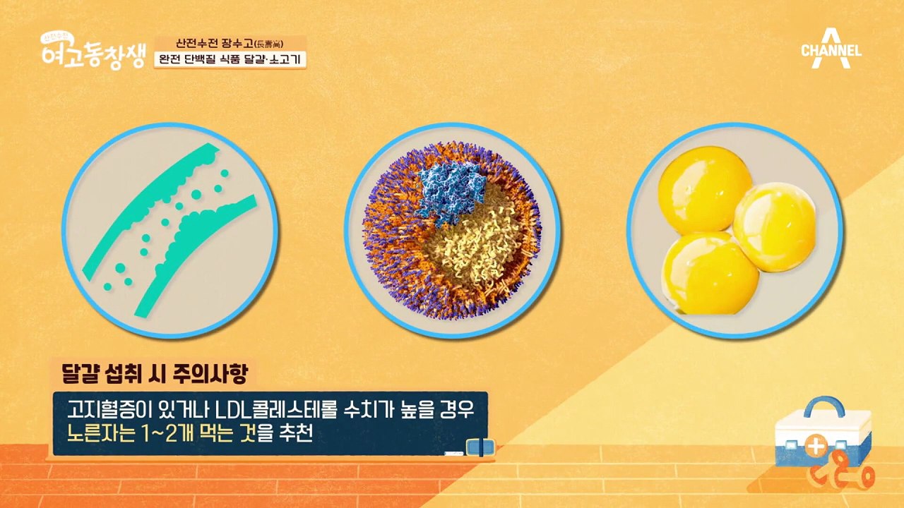 치료제가 없는 근감소증! 하지만 단백질 섭취로 근감소증 개선 효과를 볼 수 있다?