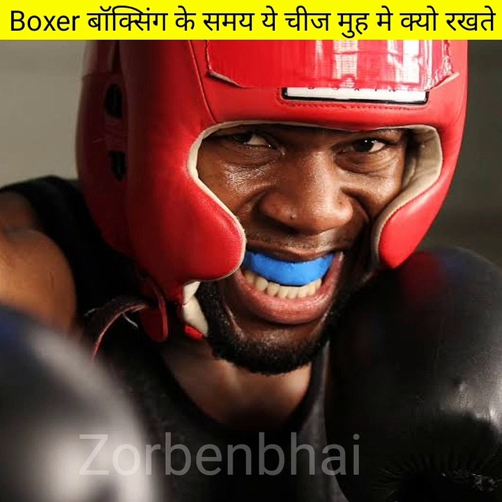 Amazing fact  #zorbenbhai