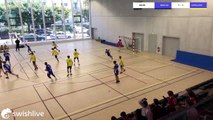 Swish Live - Levallois Sporting Club Handball - Bois-Colombes Sports Handball - 8262545