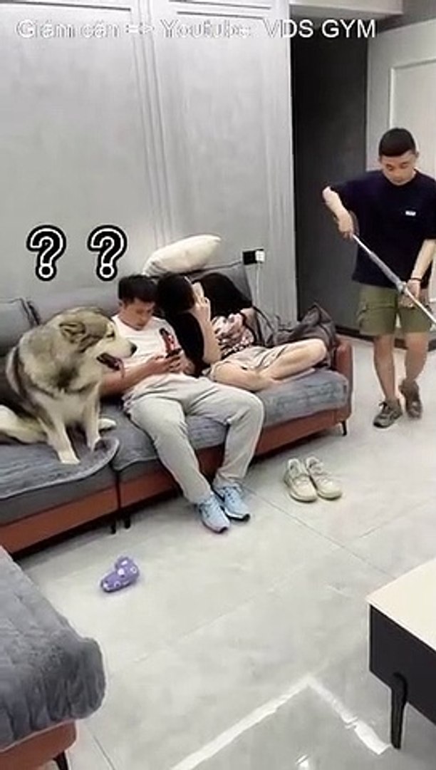 memes funny shorts #shorts #funny #memes