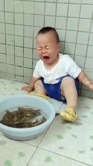 memes funny shorts #shorts #funny #memes