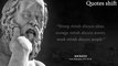 Socrates' Quotes| you need to Know before 40| RedFrost Motivation| Quotes of the Great| | motivational quotes, | Quotesshift