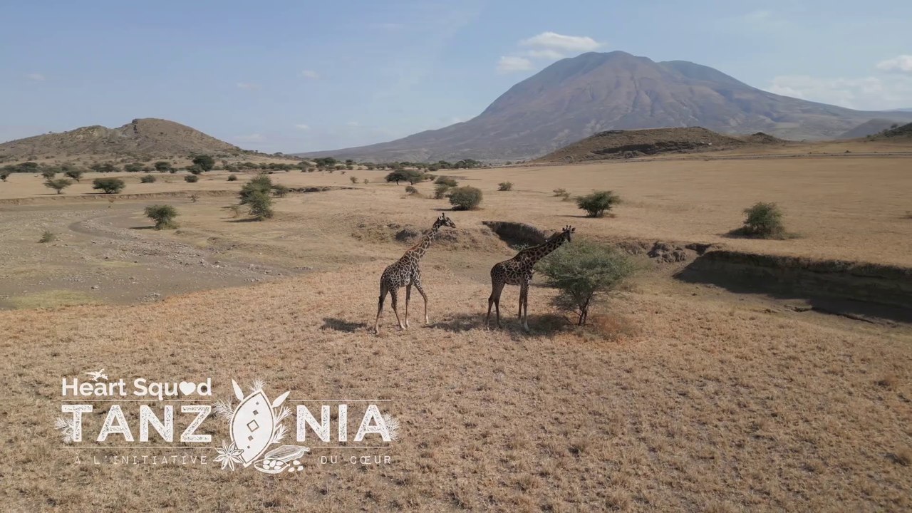 Heart Squad Tanzania | Trailer
