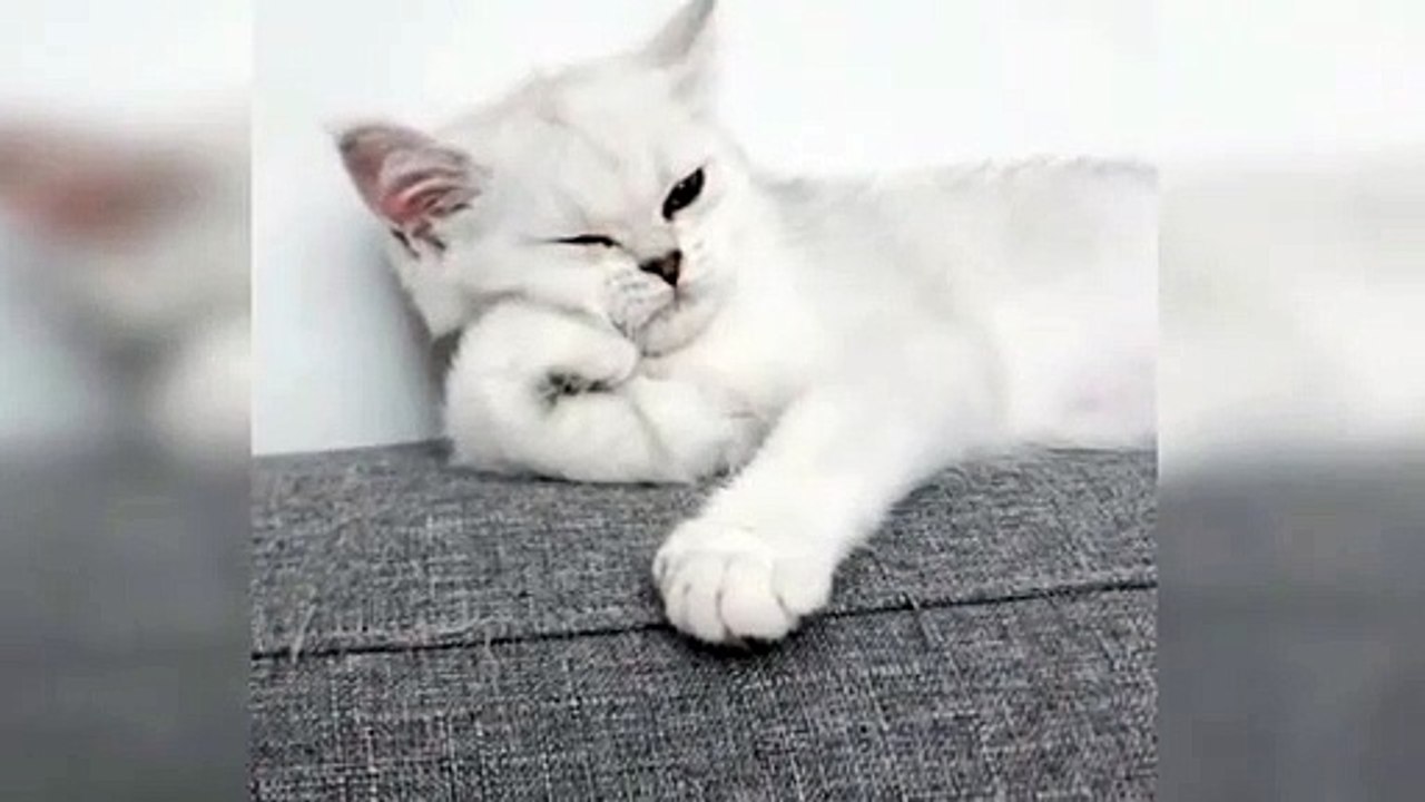FEELING SAD   NO LIKES AND SHARE